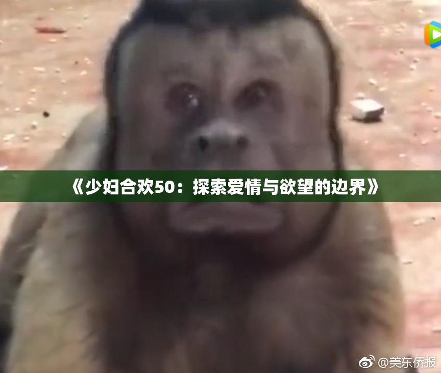 《少妇合欢50：探索爱情与欲望的边界》