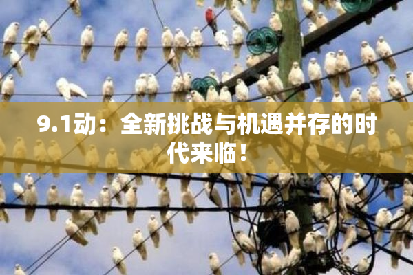 9.1动：全新挑战与机遇并存的时代来临！