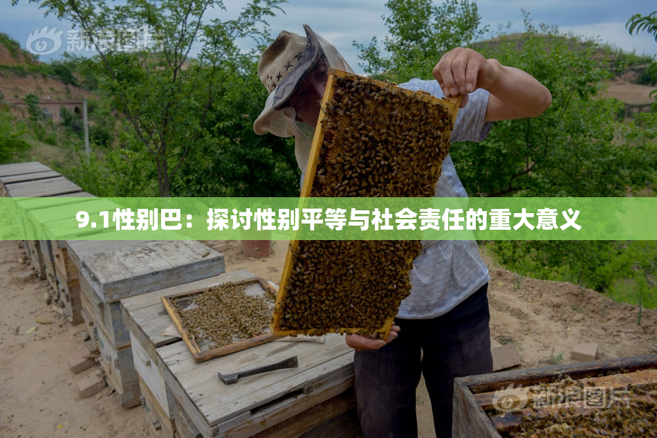 9.1性别巴：探讨性别平等与社会责任的重大意义