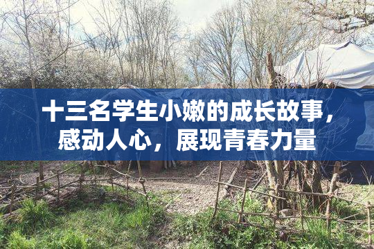 十三名学生小嫩的成长故事，感动人心，展现青春力量