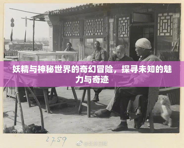 妖精与神秘世界的奇幻冒险，探寻未知的魅力与奇迹