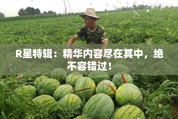 R星特辑：精华内容尽在其中，绝不容错过！