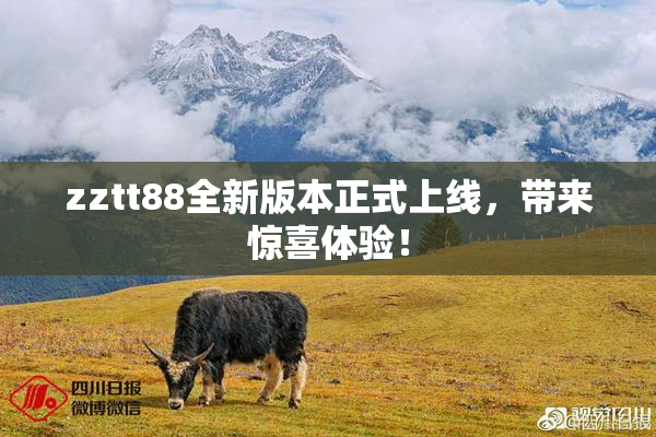 zztt88全新版本正式上线，带来惊喜体验！
