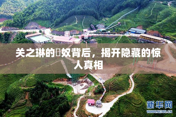 关之琳的婬奴背后，揭开隐藏的惊人真相