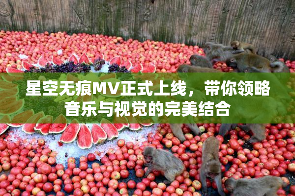 星空无痕MV正式上线，带你领略音乐与视觉的完美结合