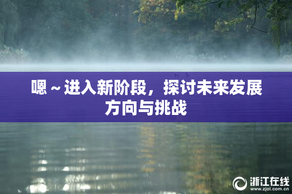 嗯～进入新阶段，探讨未来发展方向与挑战
