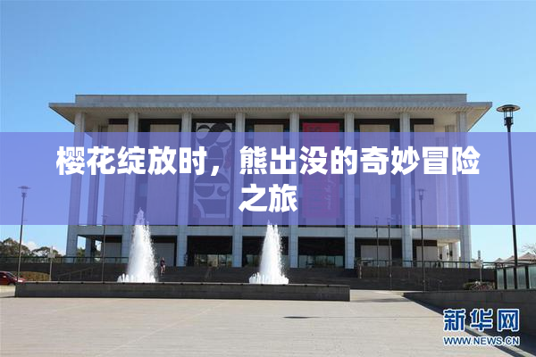 樱花绽放时，熊出没的奇妙冒险之旅