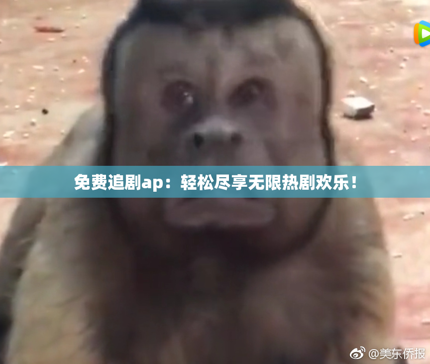 免费追剧ap：轻松尽享无限热剧欢乐！