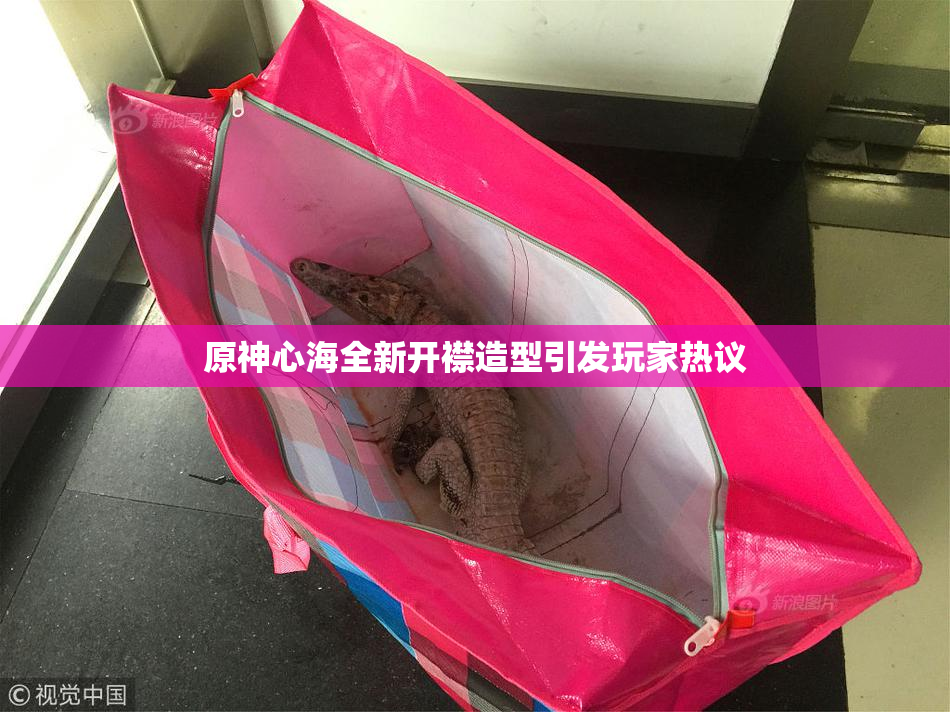 原神心海全新开襟造型引发玩家热议