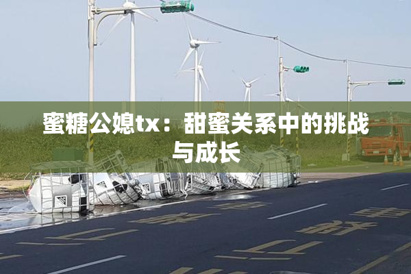 蜜糖公媳tx：甜蜜关系中的挑战与成长