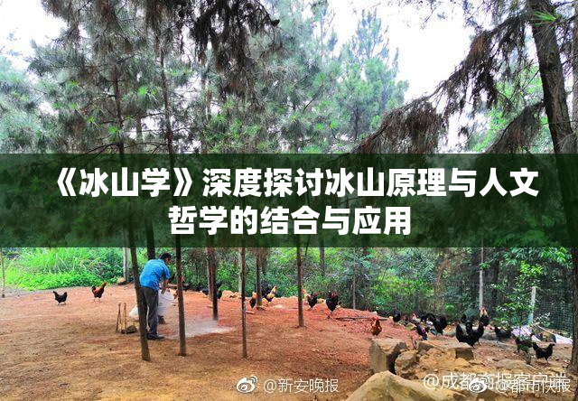 《冰山学》深度探讨冰山原理与人文哲学的结合与应用