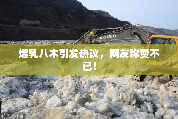 爆乳八木引发热议，网友称赞不已！