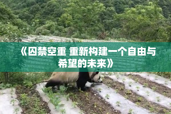 《囚禁空重 重新构建一个自由与希望的未来》