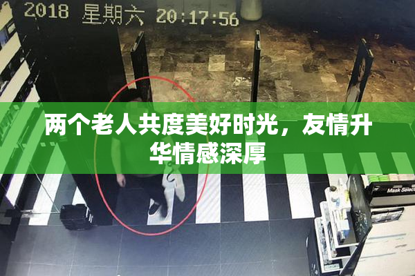 两个老人共度美好时光，友情升华情感深厚