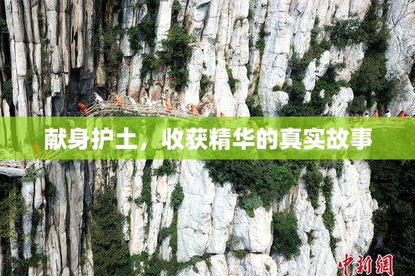 献身护土，收获精华的真实故事