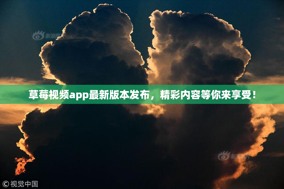 草莓视频app最新版本发布，精彩内容等你来享受！