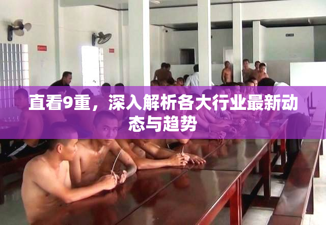 直看9重，深入解析各大行业最新动态与趋势