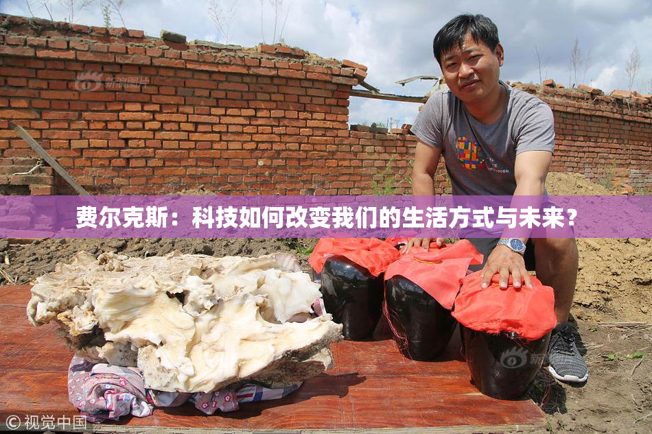 费尔克斯：科技如何改变我们的生活方式与未来？