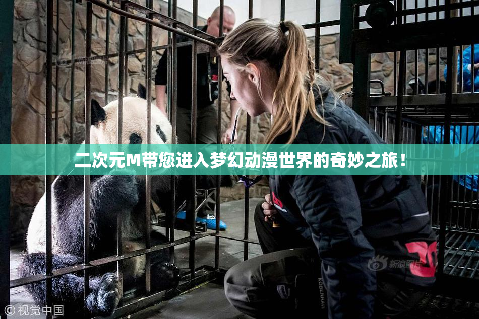 二次元M带您进入梦幻动漫世界的奇妙之旅！