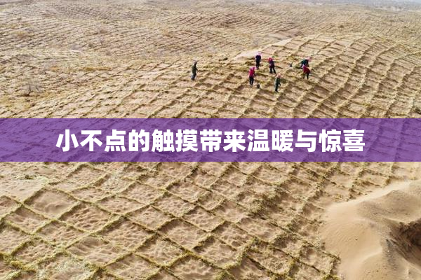 小不点的触摸带来温暖与惊喜