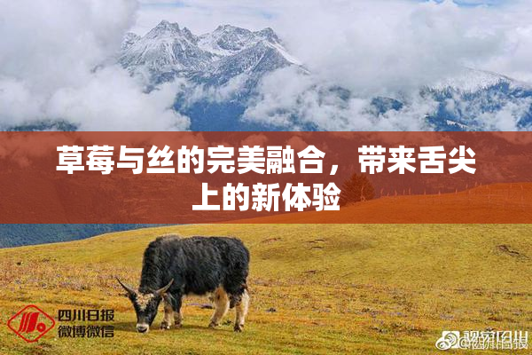 草莓与丝的完美融合，带来舌尖上的新体验