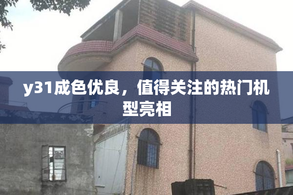 y31成色优良，值得关注的热门机型亮相