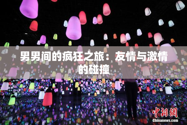 男男间的疯狂之旅：友情与激情的碰撞
