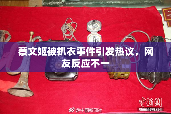 蔡文姬被扒衣事件引发热议，网友反应不一