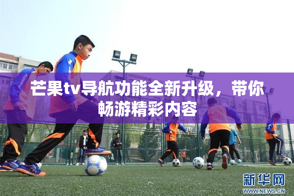 芒果tv导航功能全新升级，带你畅游精彩内容