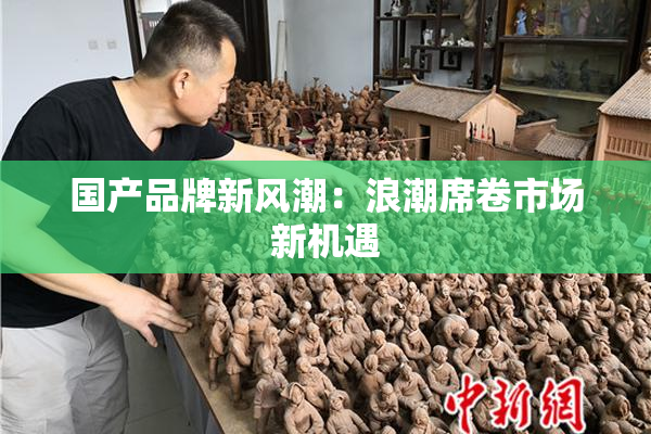 国产品牌新风潮：浪潮席卷市场新机遇