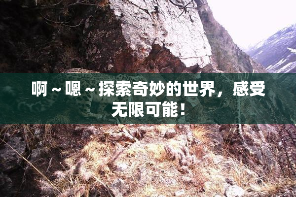 啊～嗯～探索奇妙的世界，感受无限可能！