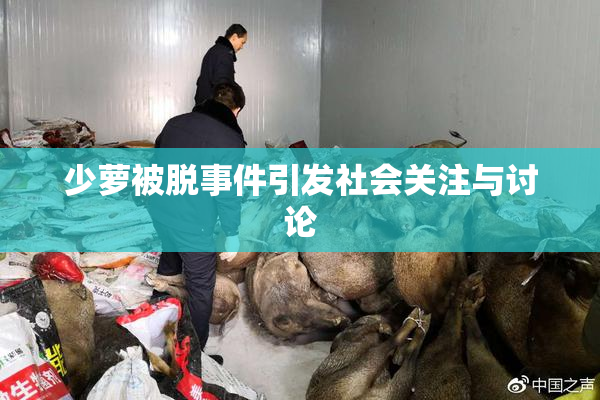少萝被脱事件引发社会关注与讨论