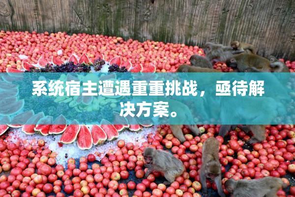 系统宿主遭遇重重挑战，亟待解决方案。