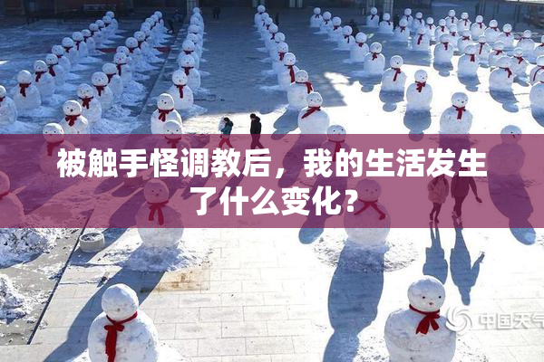 被触手怪调教后，我的生活发生了什么变化？