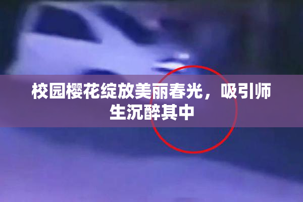 校园樱花绽放美丽春光，吸引师生沉醉其中