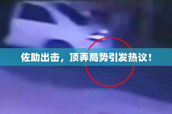 佐助出击，顶弄局势引发热议！