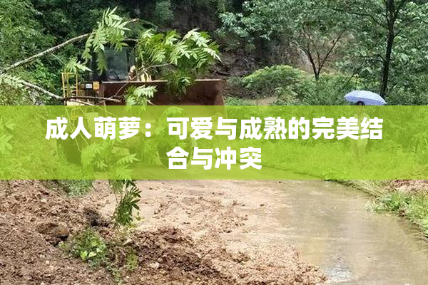 成人萌萝：可爱与成熟的完美结合与冲突