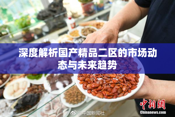 深度解析国产精品二区的市场动态与未来趋势