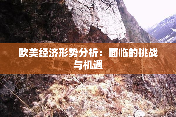 欧美经济形势分析：面临的挑战与机遇