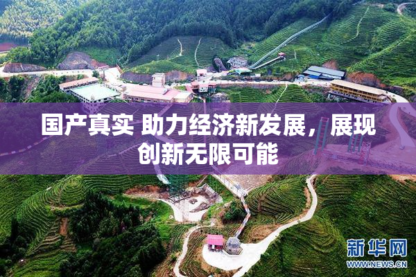 国产真实 助力经济新发展，展现创新无限可能