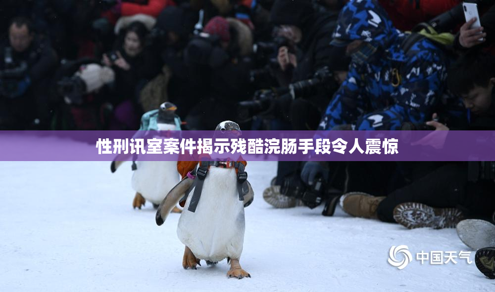 性刑讯室案件揭示残酷浣肠手段令人震惊