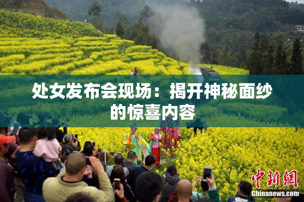 处女发布会现场：揭开神秘面纱的惊喜内容