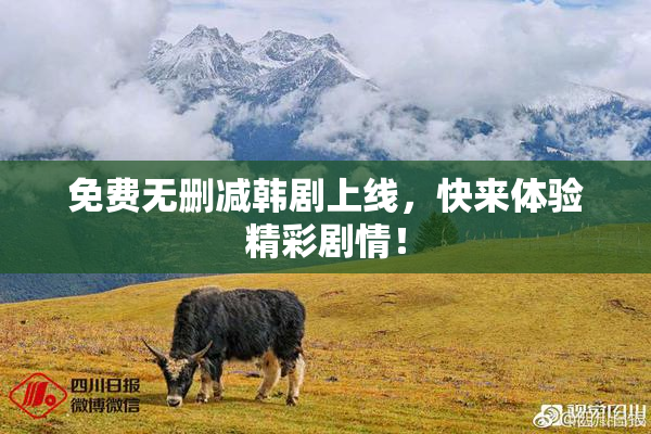 免费无删减韩剧上线，快来体验精彩剧情！