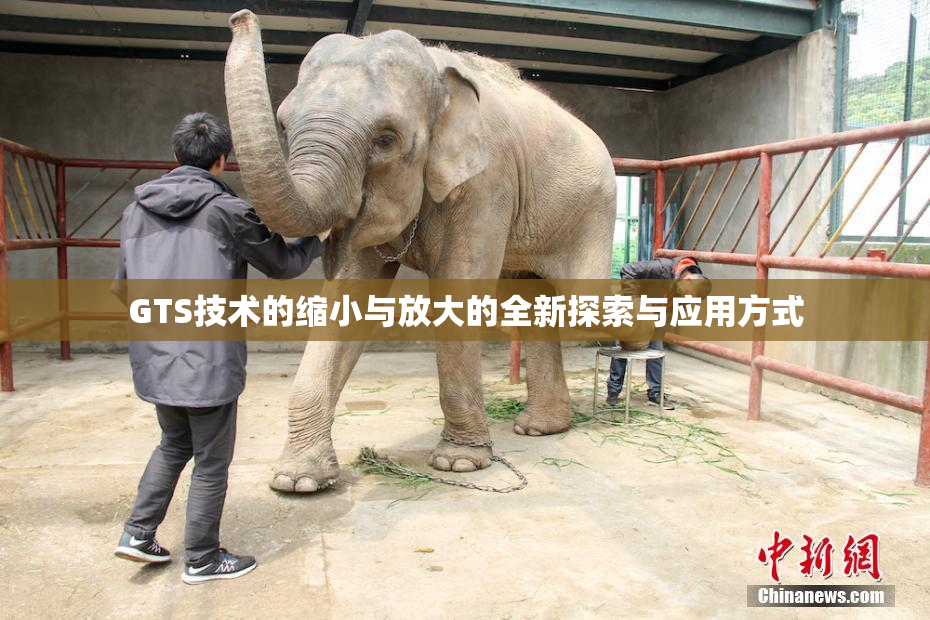GTS技术的缩小与放大的全新探索与应用方式