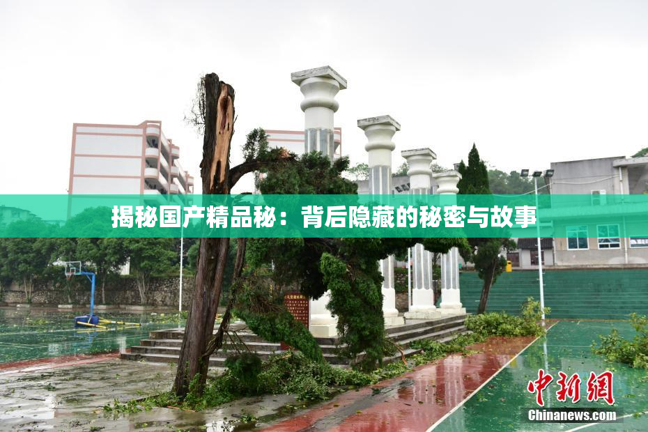揭秘国产精品秘：背后隐藏的秘密与故事