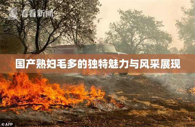 国产熟妇毛多的独特魅力与风采展现