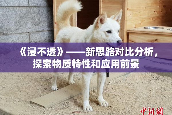 《浸不透》——新思路对比分析，探索物质特性和应用前景