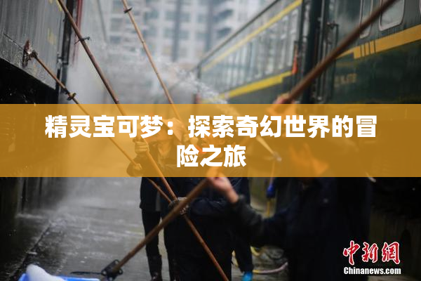 精灵宝可梦：探索奇幻世界的冒险之旅