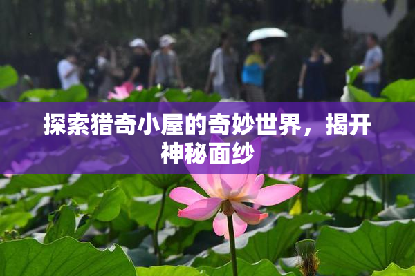 探索猎奇小屋的奇妙世界，揭开神秘面纱