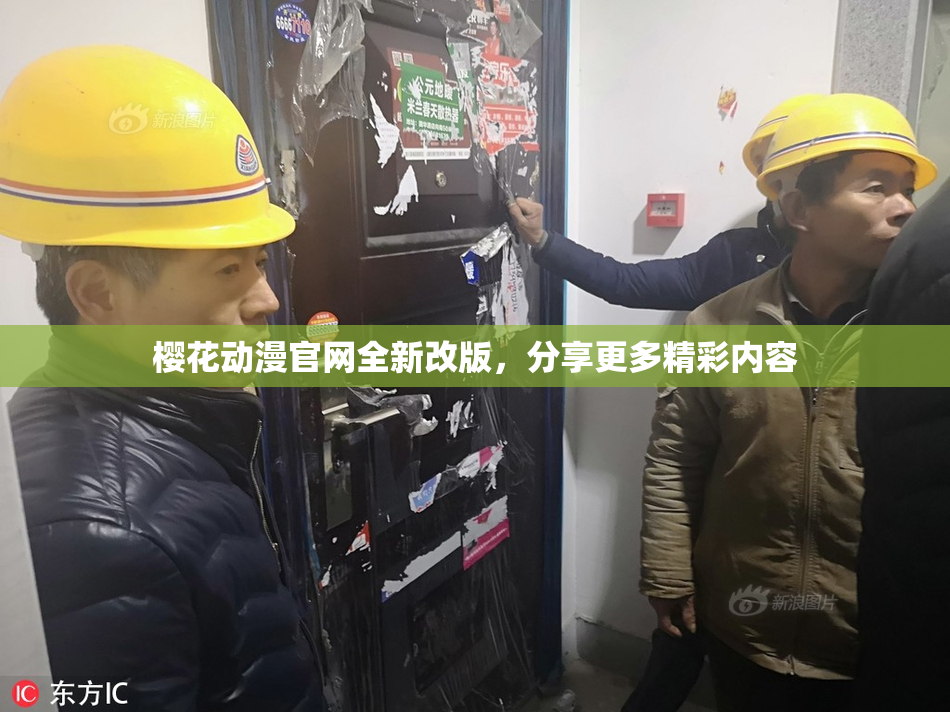 樱花动漫官网全新改版，分享更多精彩内容